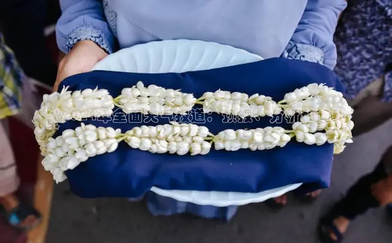 EON4登录百度社团赞助平台**2024年全面天气报道：预报、分析和趋势
**