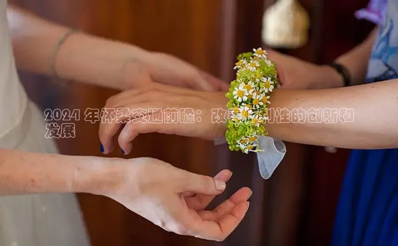 意昂体育4官网挪威主权基金2024 年怀柔交通前瞻：改善便利性的创新和
发展