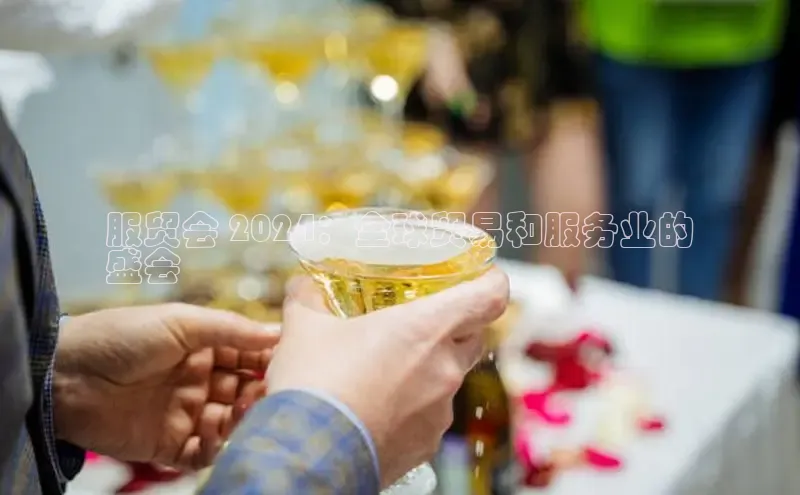 意昂4代理普信公司服贸会 2024：全球贸易和服务业的
盛会