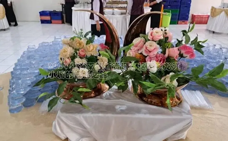 意昂体育4路畅科技2024 年洮南最新资讯：这座黑龙江
小城的崛起之路