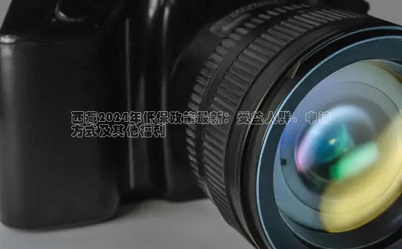 EON4雷柏科技西藏2024年低保政策最新：受益人群、申请
方式及其他福利