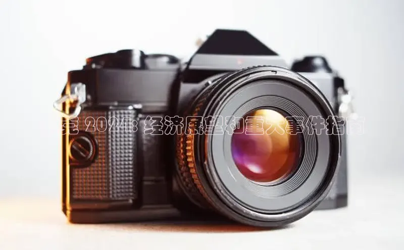 EON体育4百度人工翻译东莞 2024: 经济展望和重大事件指南