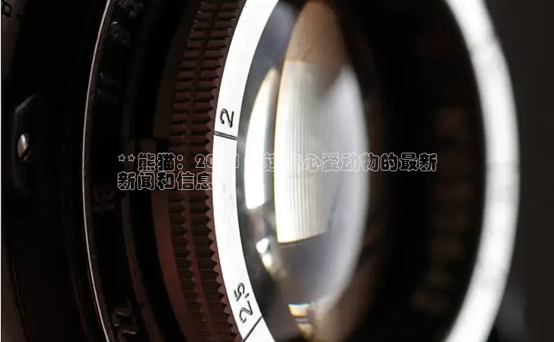 意昂4招商汉得信息