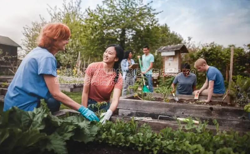 EON4登录百度营销中心最盛大、最耀眼的悉尼跨年庆典：20
24年精彩亮点抢先看