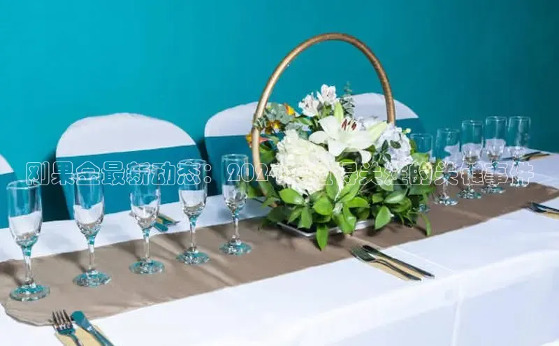 意昂4招商神思电子刚果金最新动态：2024年值得关注的关键事件