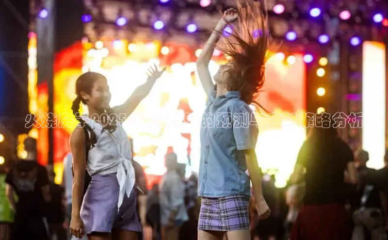 火烧房子2025:超前趋势的预测与应对策略分析