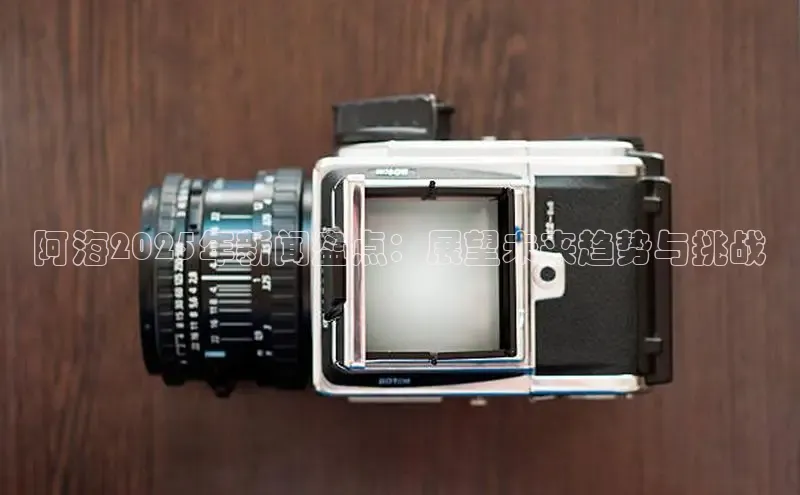 阿海2025年新闻盘点：展望未来趋势与挑战